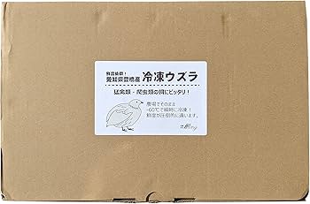 Amazon | [うずらや] 豊橋産 冷凍ウズラ 未処理 25羽1ケース 親ウズラ